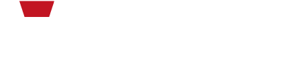 Velocity Vehicle Group